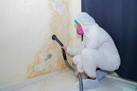 Mold Prevention & Removal